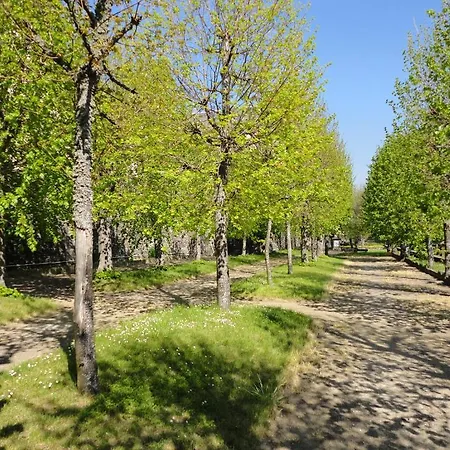 Hotel Hotel-restaurant Les Planchettes *