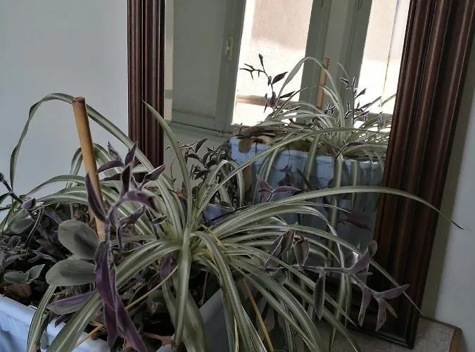 Hotel-restaurant Les Planchettes Отель Сен-Флур